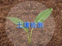 土壤土质检测/监测